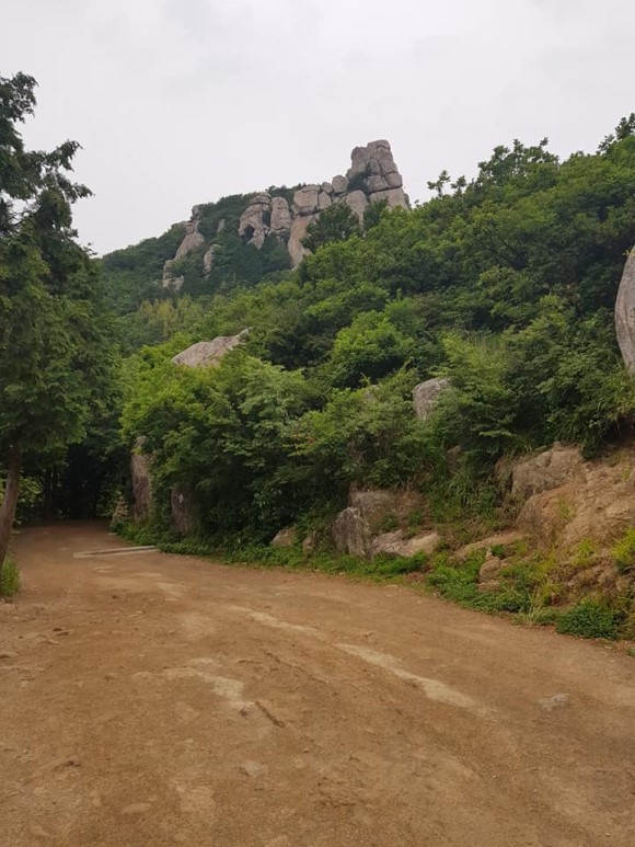 고천초등학교 이미지