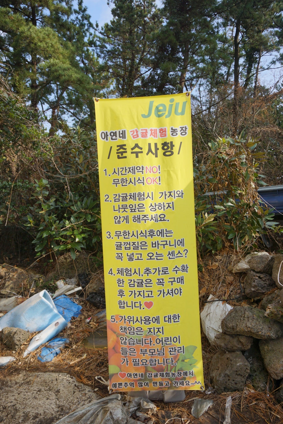 아연네감귤체험농장 이미지