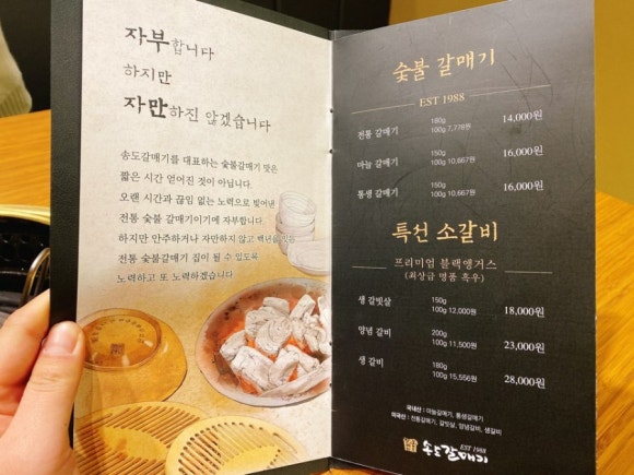 송도갈매기 이미지