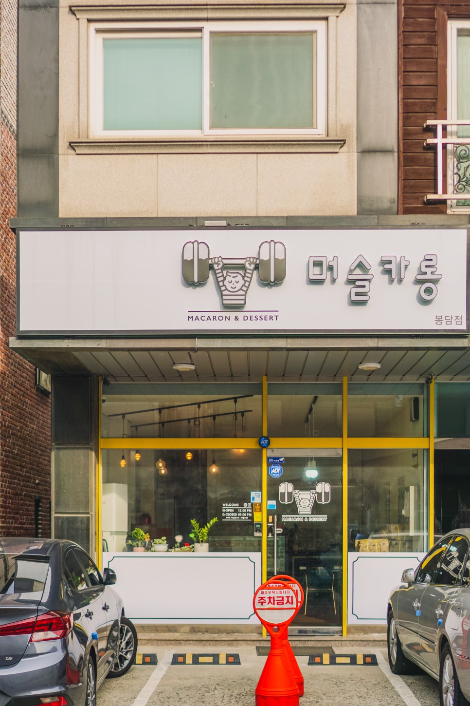 머슬카롱 이미지
