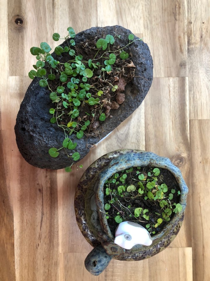 연희원 이미지