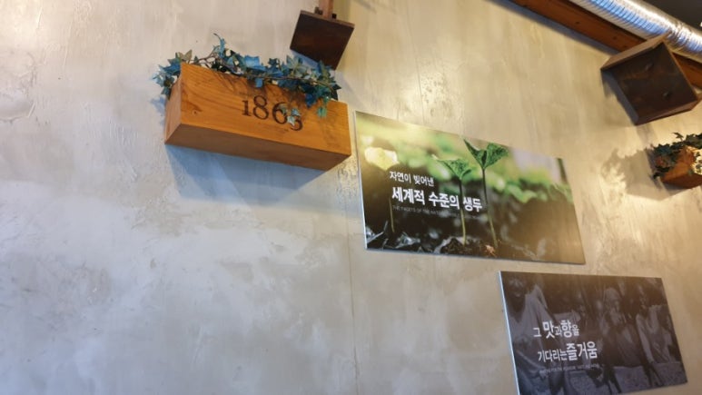 브라운버틀 이미지