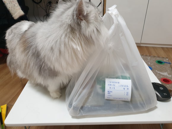 쉬즈작 이미지
