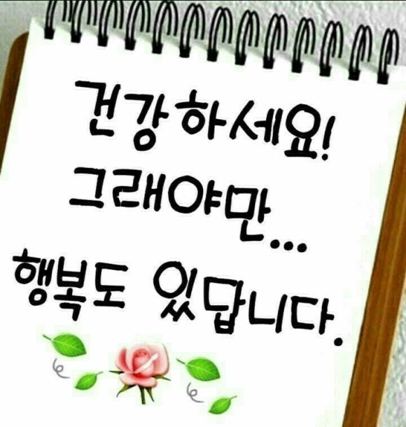 뽀글이 헤어샵 이미지