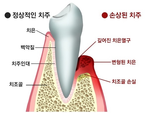 공감백치과 이미지