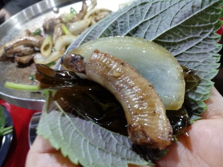 부산기장산곰장어 이미지