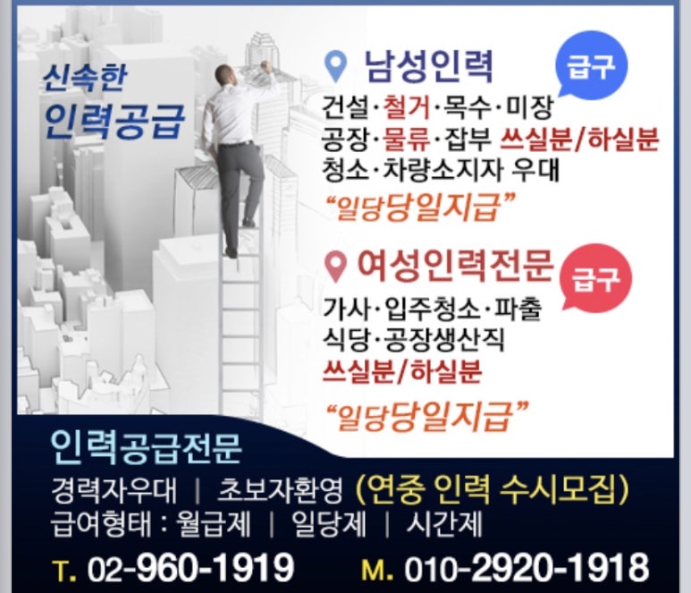 개미건설철거인력 이미지
