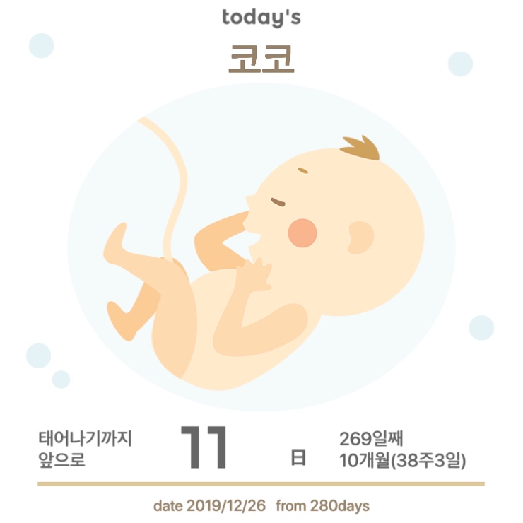 코코마리 이미지