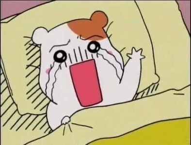 프리타임 이미지