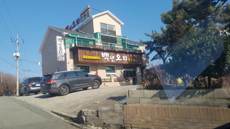 백년오리 이미지