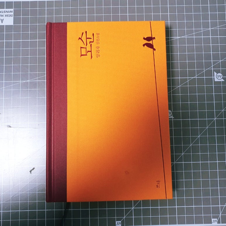 윰씨 이미지
