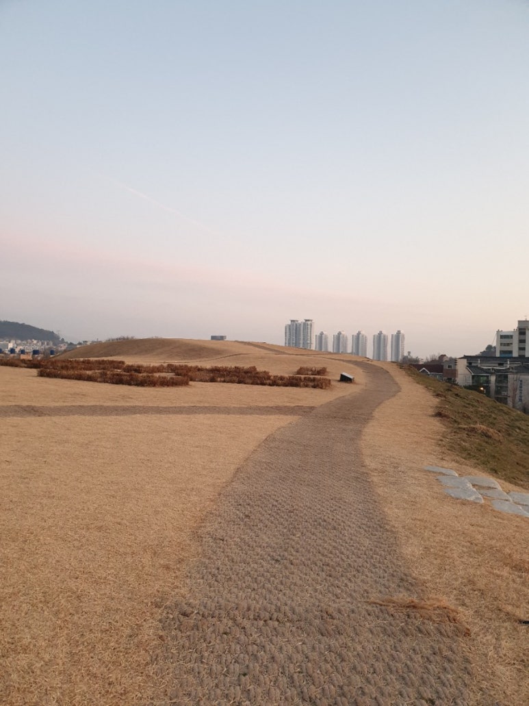 cafe 정성 이미지