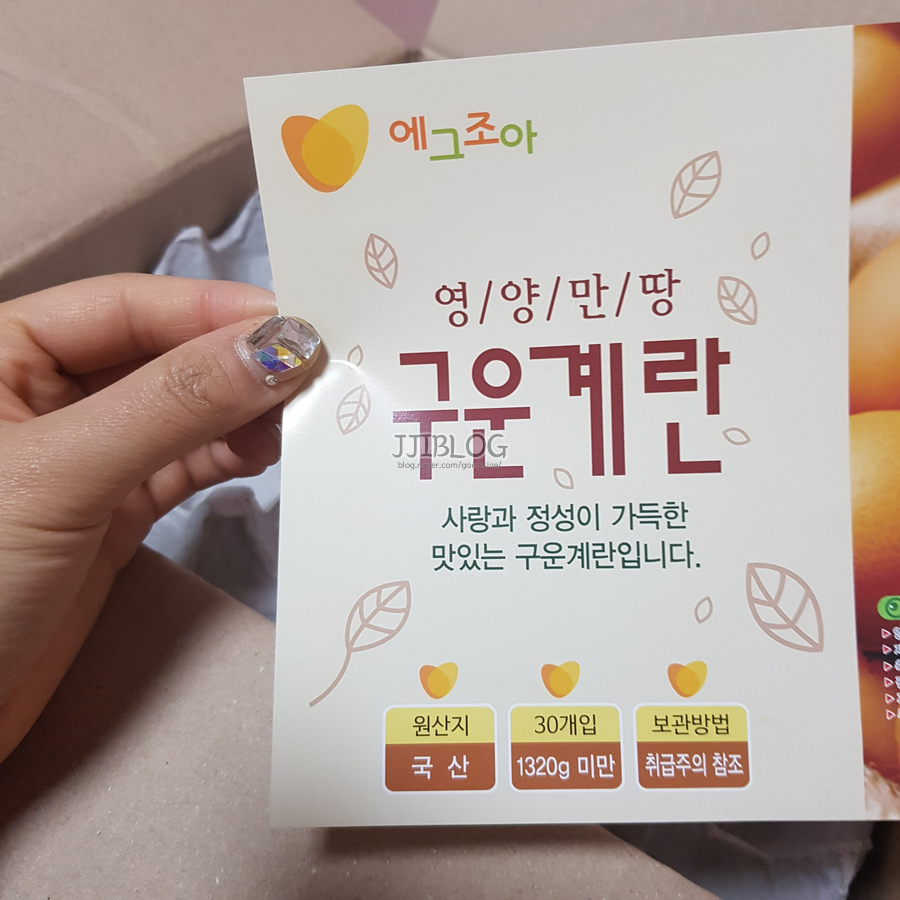 에그조아 이미지