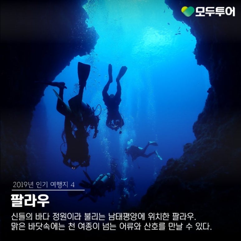 즐거운여행사 이미지