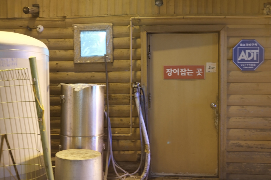 비장한장어 이미지