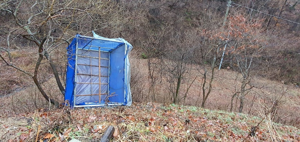 법무사법인동행 이미지