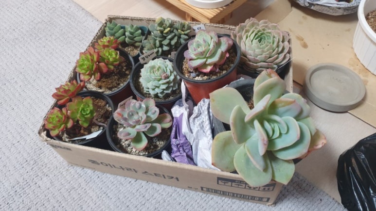 장암화원 이미지