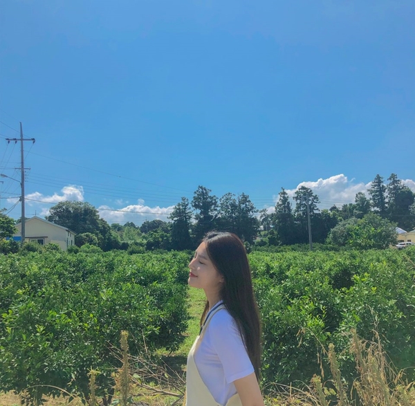 돈까스가게 이미지