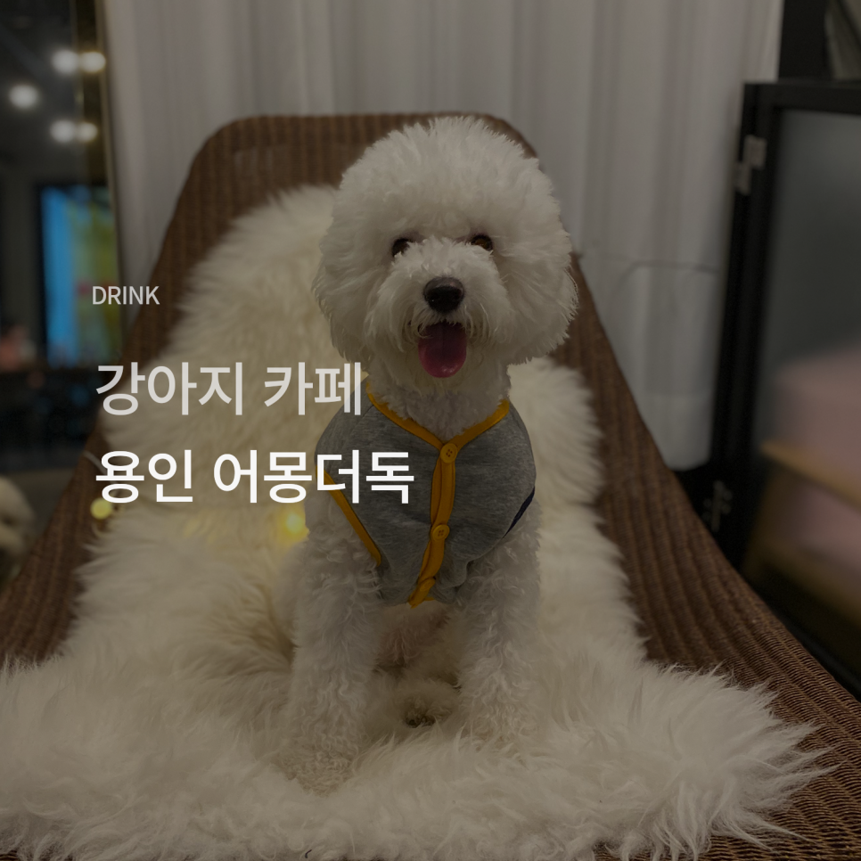 카페어몽 이미지