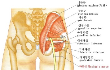 똑똑한몸만들기 이미지
