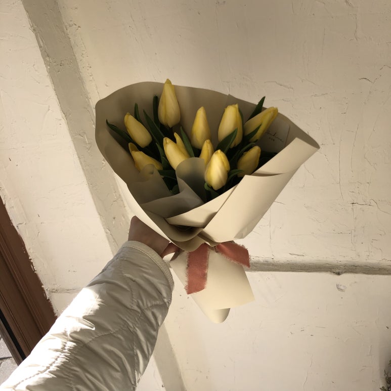 수수화 이미지