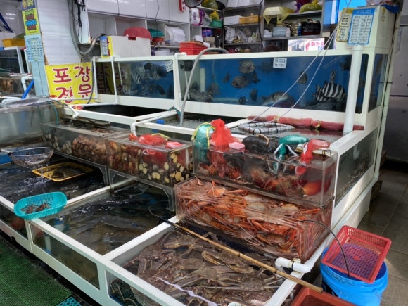해덕이네활어 이미지