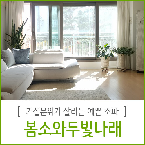 몸이편한 이미지