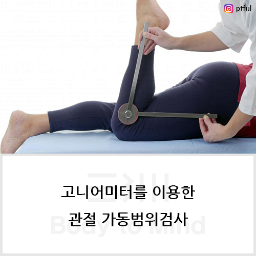 고니시스템 이미지