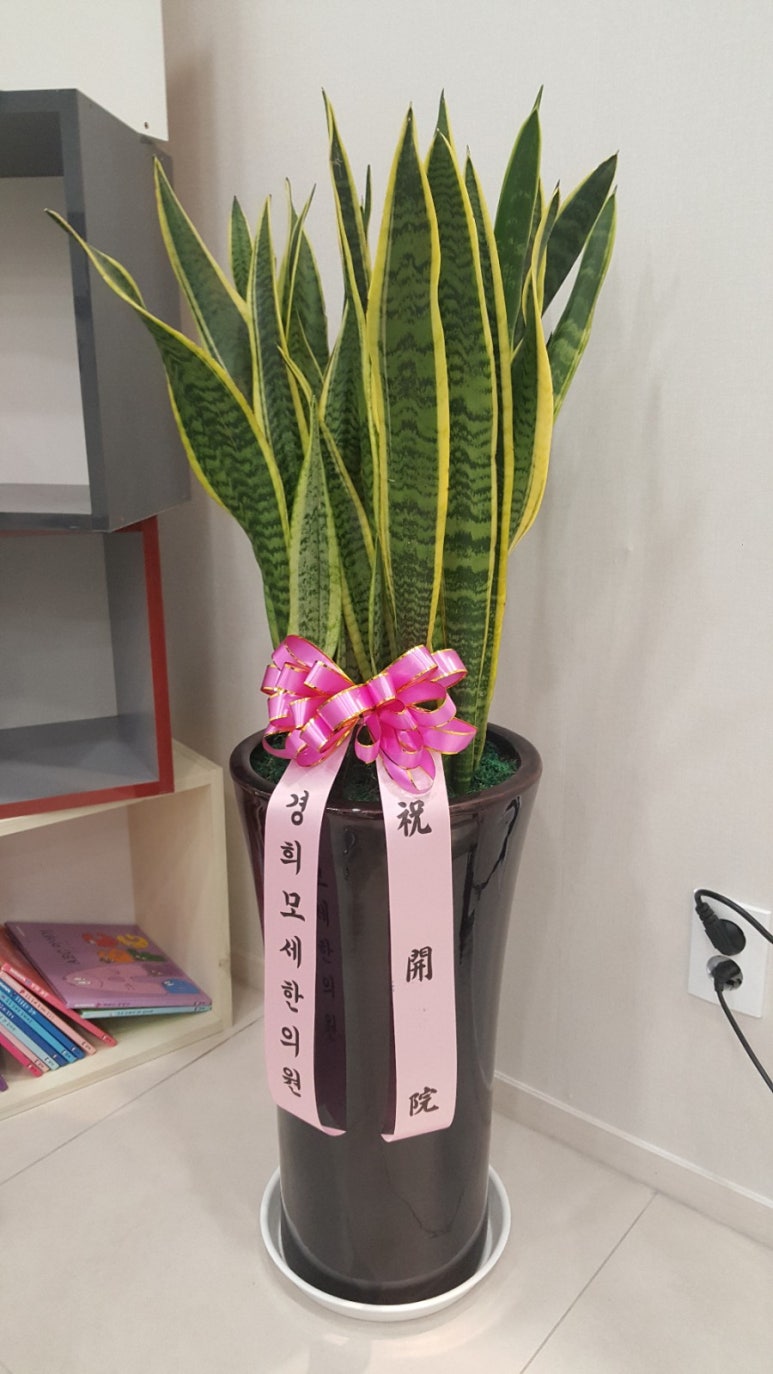 경희최한의원 이미지