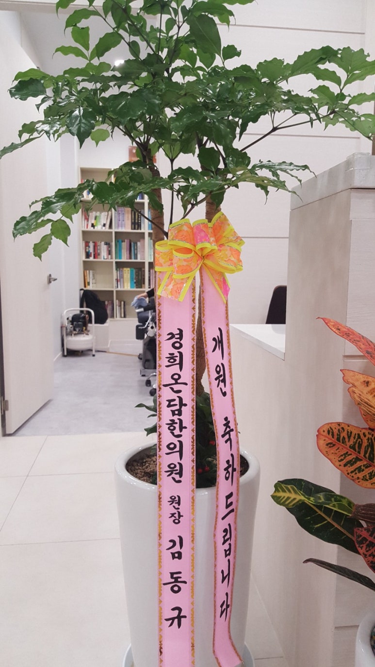 경희모세한의원 이미지