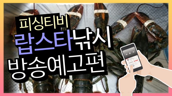엠제이티 이미지