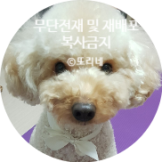 큰마당순대국 이미지