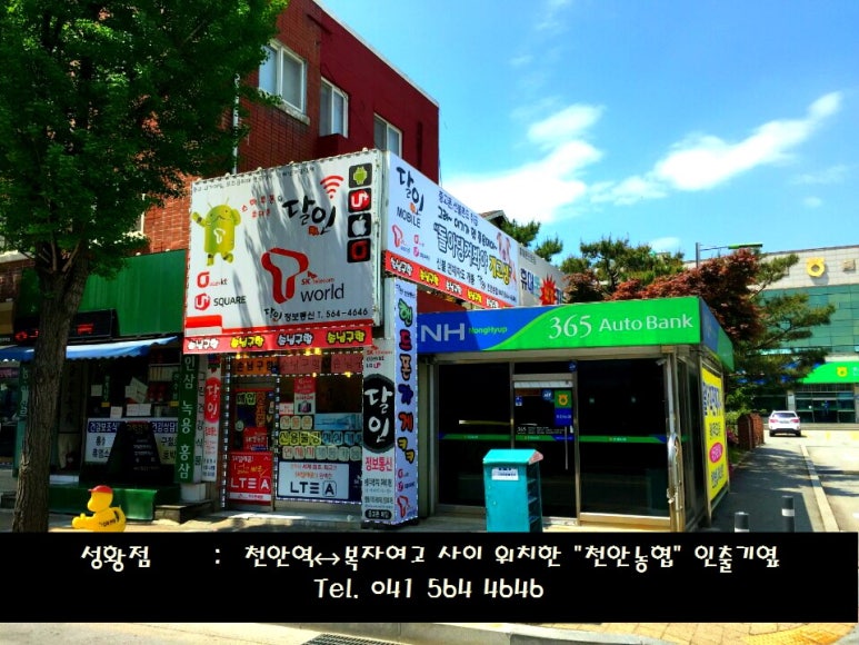 달인통신 이미지