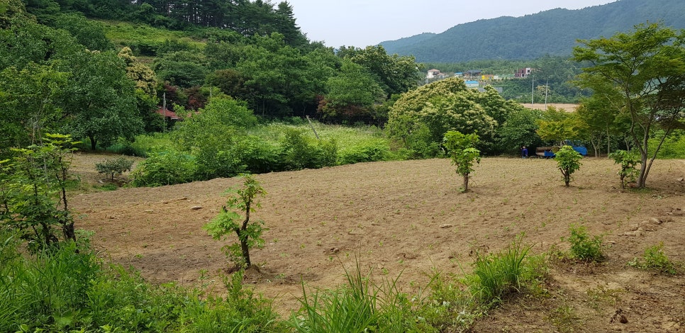정미니하우스 이미지