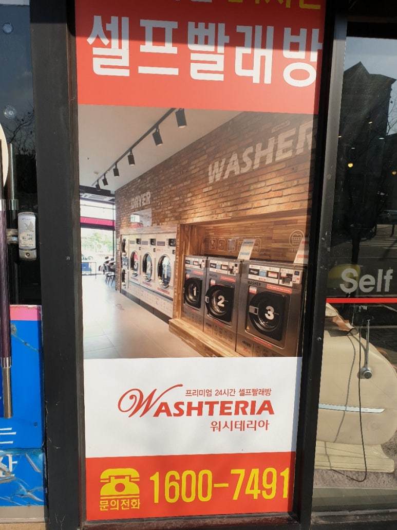 워시테리아전주 이미지