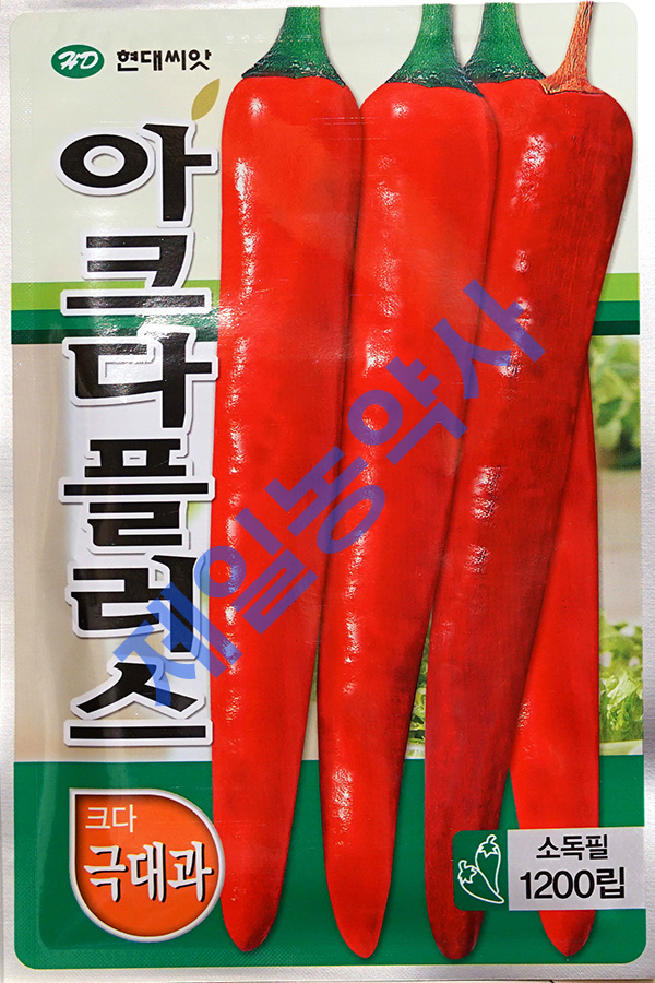 다플러스 이미지