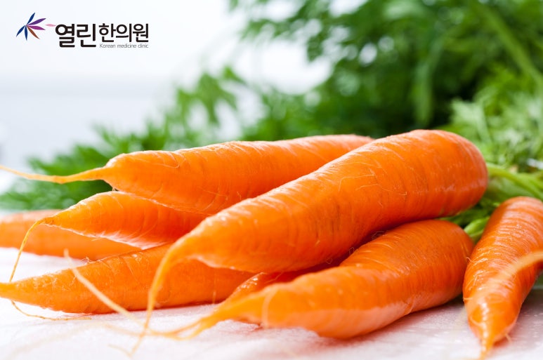 야간채소음식 이미지