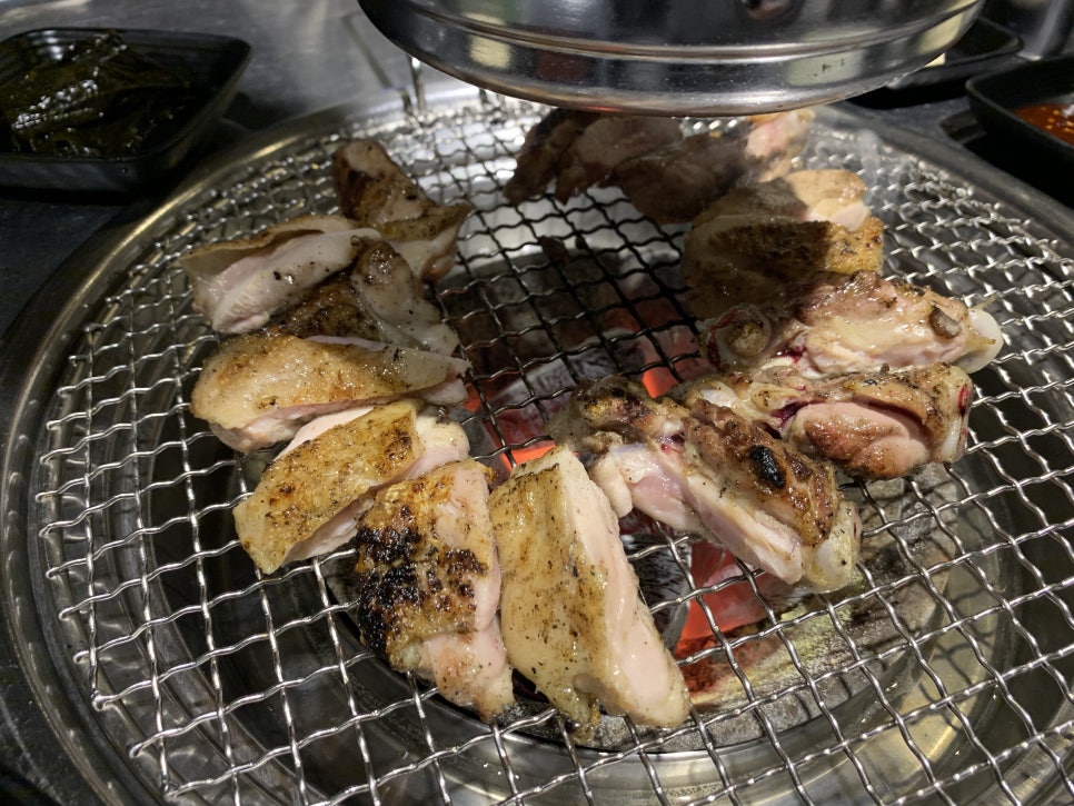 계고기집 이미지