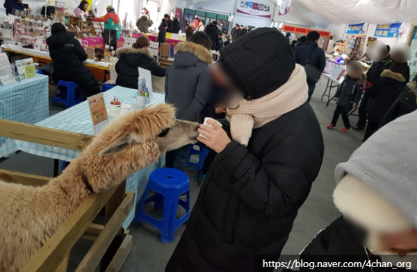 꽃뫼국수 이미지