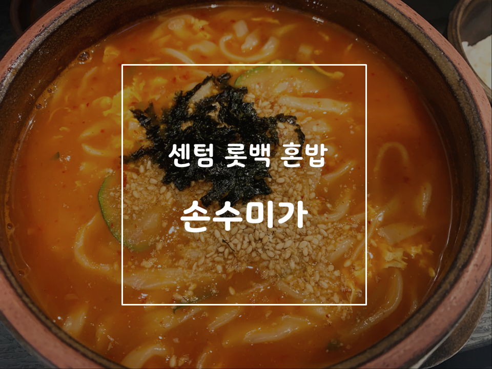 손수미가 이미지
