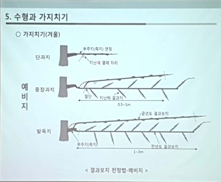 다래센터 이미지