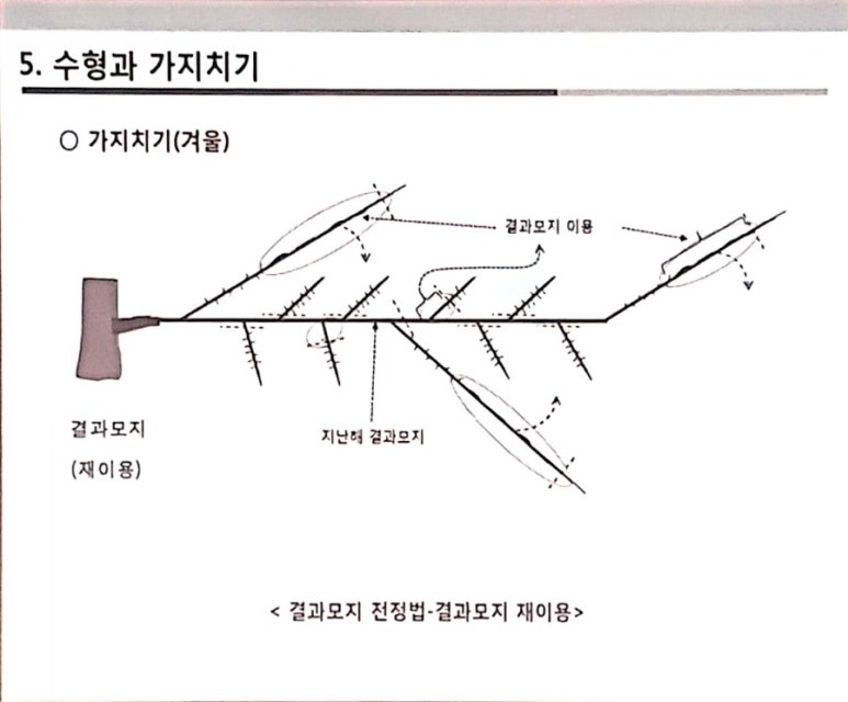 다래센터 이미지