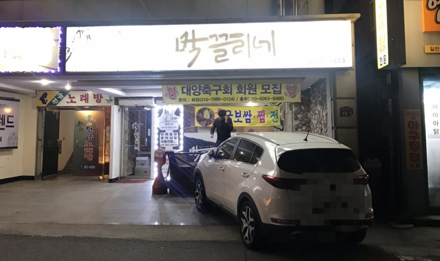 막끌리네 이미지
