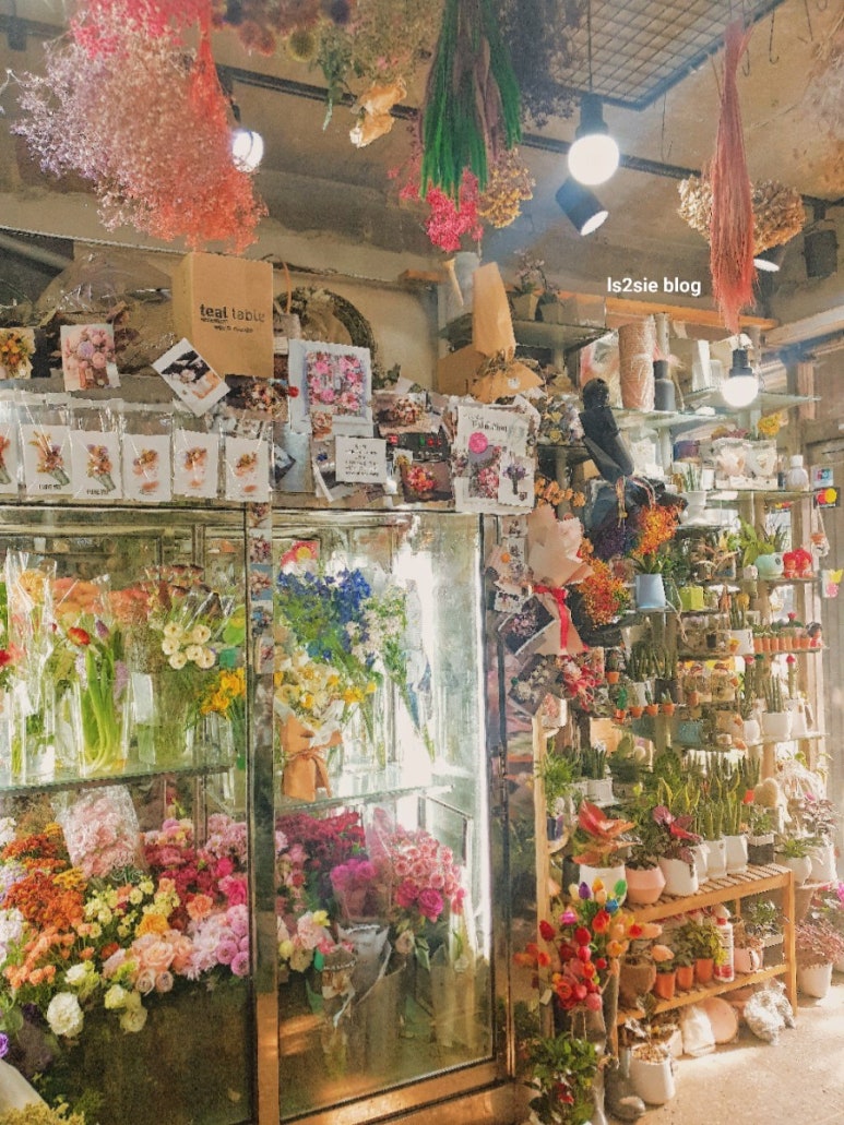 샤론농원 이미지