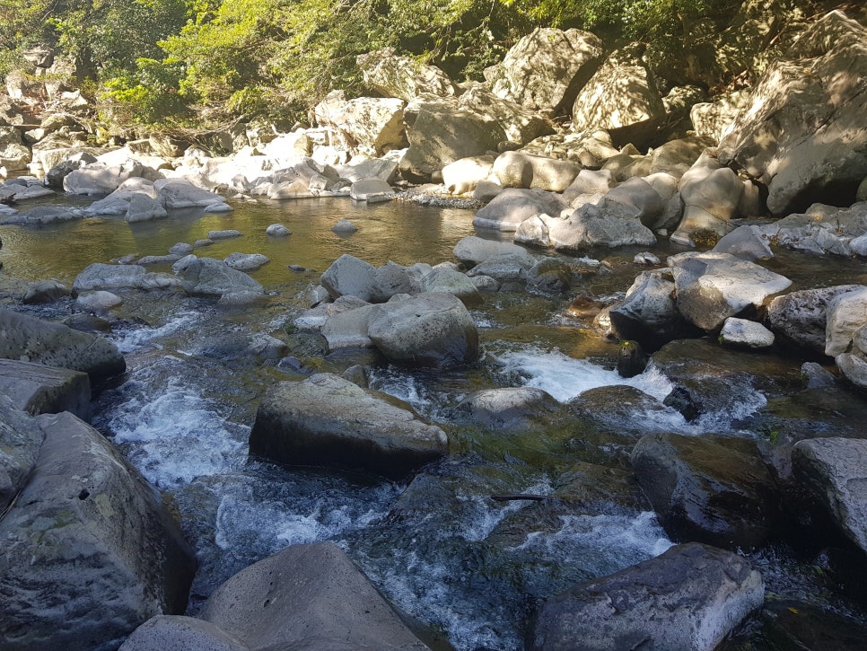 중문뚱보집 이미지
