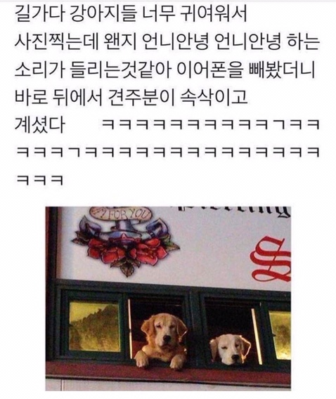 프루페 이미지