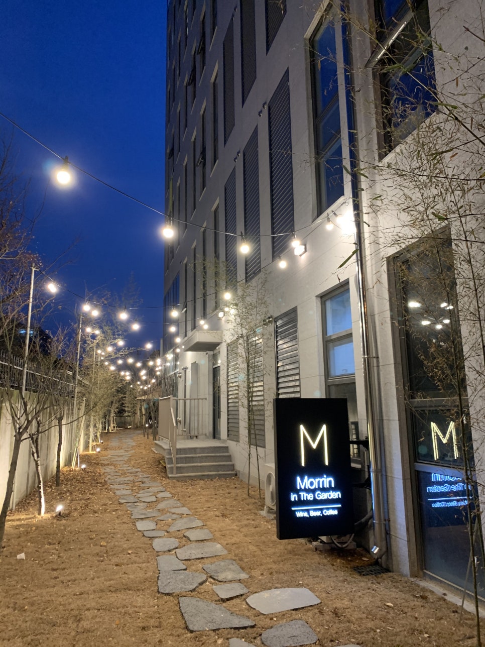 모린(Morrin) 이미지