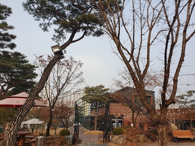 선일목장 이미지
