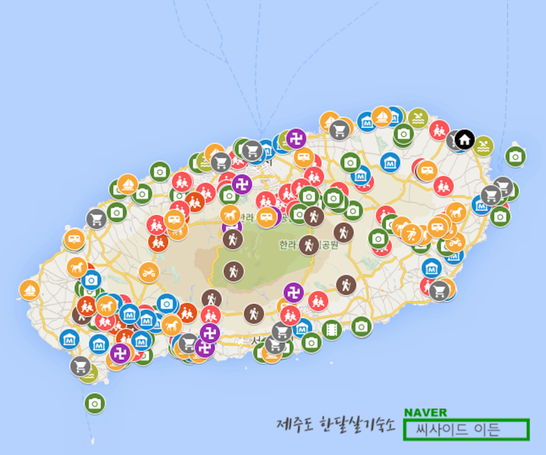 제주도조아 이미지