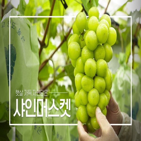 영동푸드 이미지